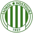 Sokol Hostouň