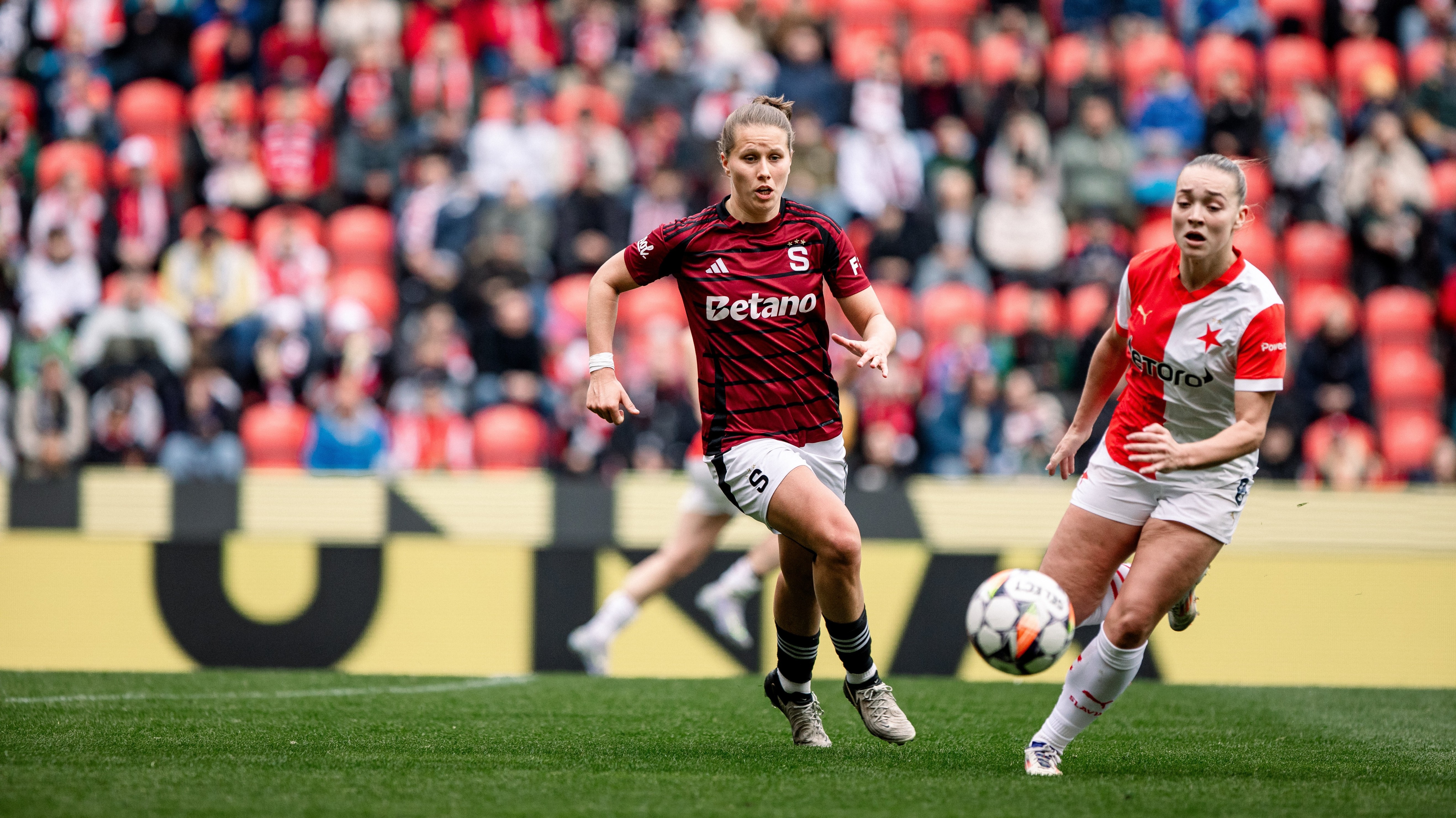 Chybělo tomu všechno