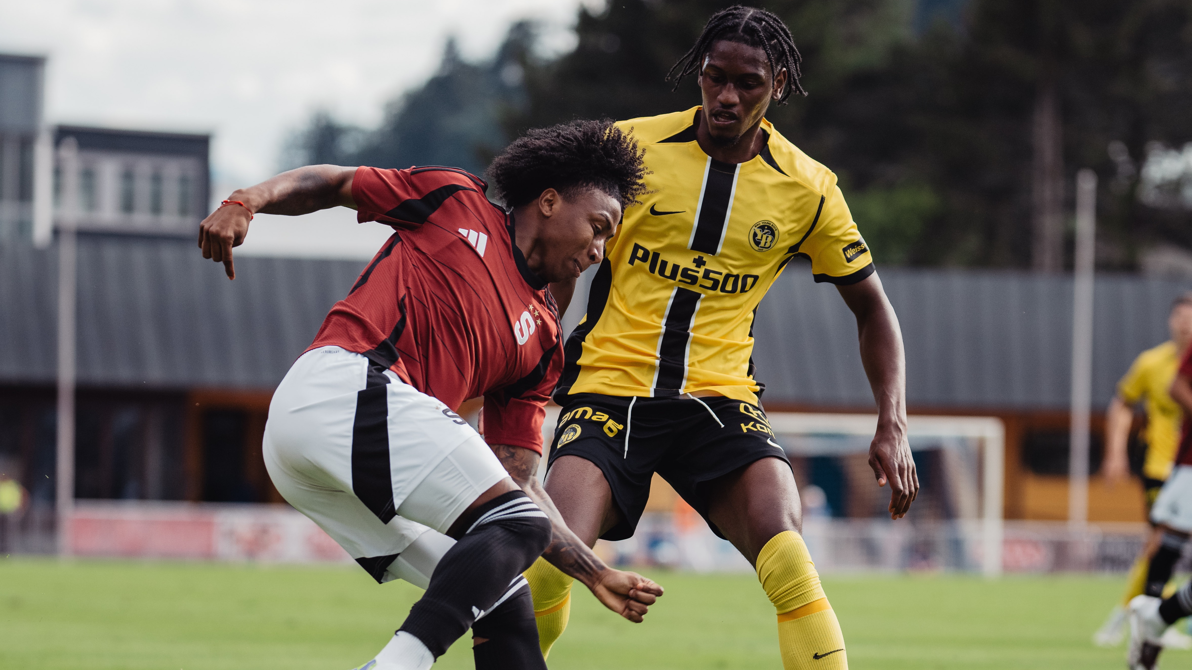 SESTŘIH: Young Boys - Sparta