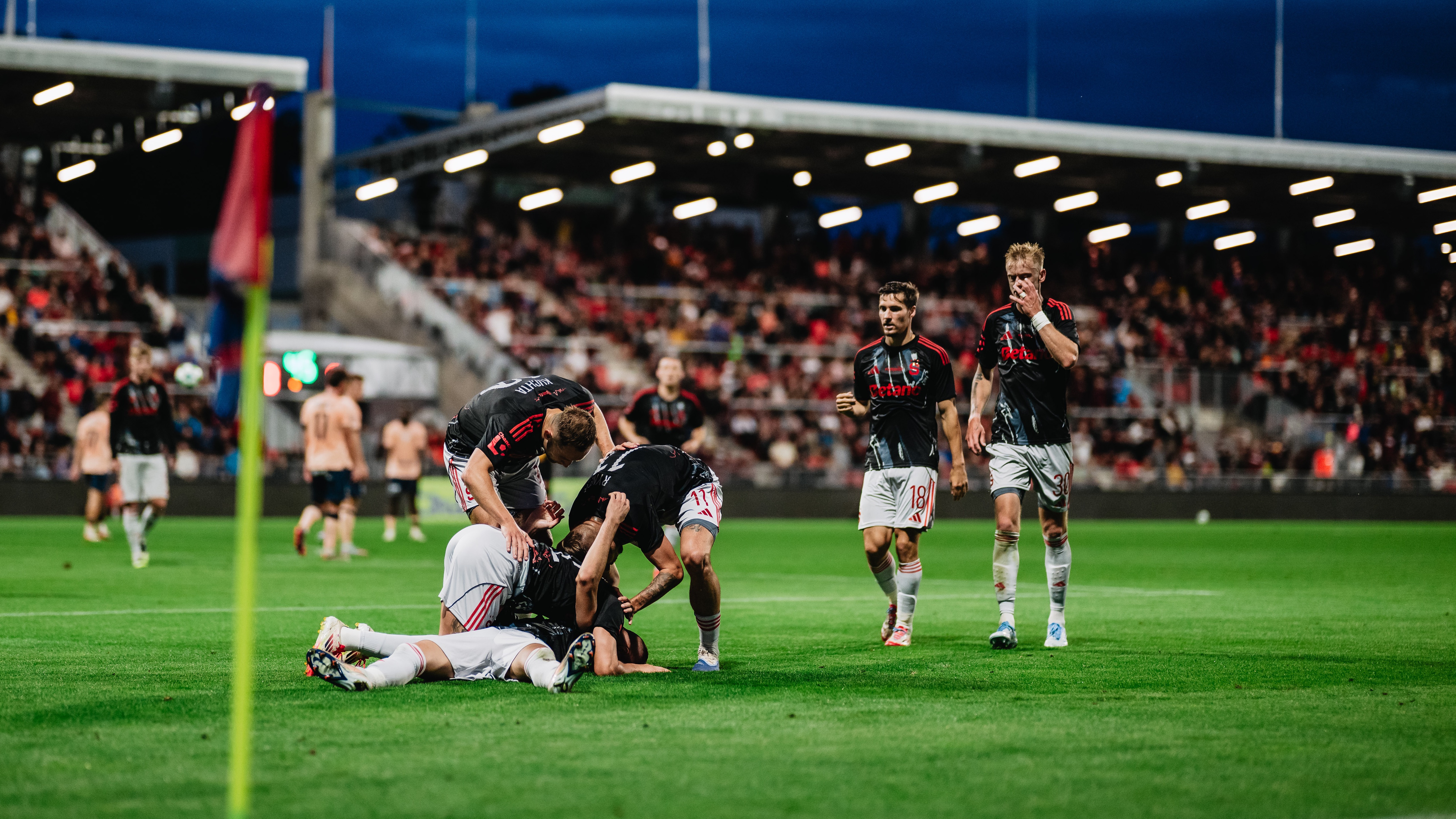 SESTŘIH: Pardubice - Sparta